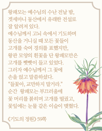 메인 오_7_기도의 정원