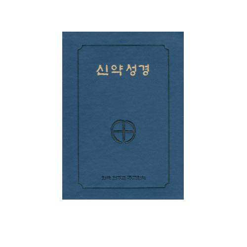신약성경(국판전단/中小/청색/NA6-AH)