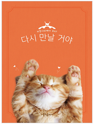 다시 만날 거야 - 고양이