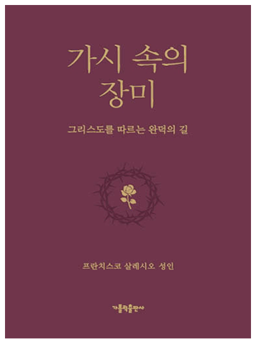 가시 속의 장미