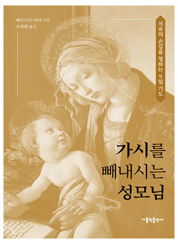 가시를 빼내시는 성모님(치유의 손길을 청하는 9일 기도)
