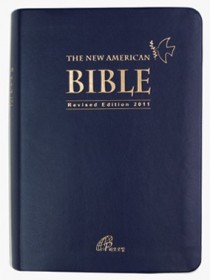 THE NEW AMERICAN BIBLE(FSP) 대